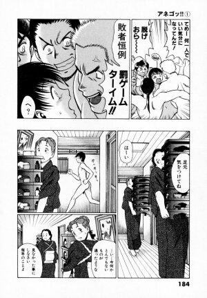 [Tamaki Nozomu] Anego!! 1 - Page 175