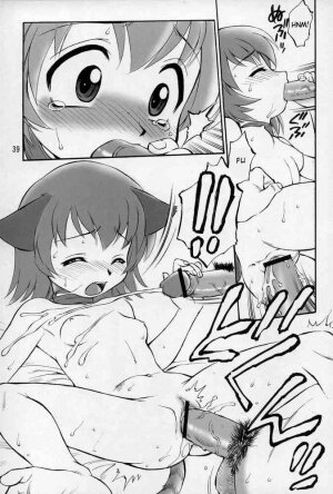 (C68) [Jack-O'-lantern (Ebifly, Neriwasabi)] Neko Panchu (Final Fantasy XI) [English] [desudesu] [Incomplete] - Page 20