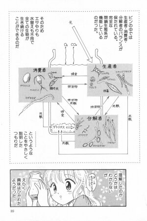 [Anthology] Little Pierce Vol.20 - Page 89