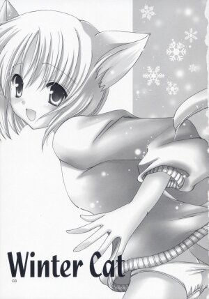 (C71) [AION (Amou Mari)] Winter Cat - Page 2