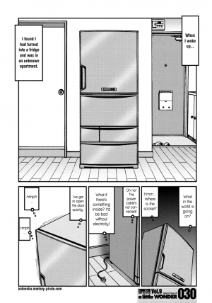 The Female Fridge No. 1 [Tori-Miki] (ENG) - Page 2