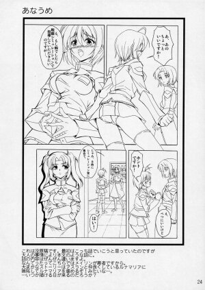 (C68) [P-dimension (Endou Masatoshi)] Oshioki Tsuyu Daku de!! (Gundam SEED DESTINY) - Page 24