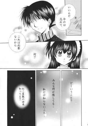 (C68) [Sakurakan (Seriou Sakura)] Tobikiri no Himitsu 3 <<Kanketsuhen>> (Inuyasha) - Page 19