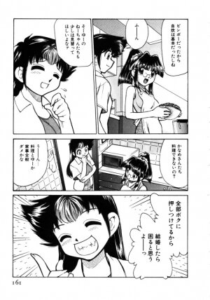 [Mizuki Hitoshi] Shin Kyonyuu Kazoku 1 - Page 161
