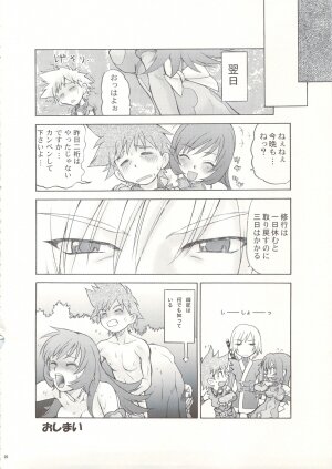 (C74) [Koudansha (Tomohiro Kouda)] Anemono Hitomatome Plus Soushuuhen 3 (Zoids Genesis, Busou Renkin, Princess Resurrection) - Page 19