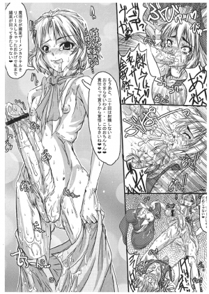 (ABC4) [Kijirushi Ryouhin (Daisuke_Be)] Mahou Shoujo Ryoujoku - Futanari Ryoujoku Hon Series 11 (Touhou Project) - Page 6