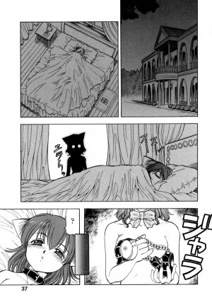 [Itoyoko] Mesu Neko - Maid Cats Story - Page 40