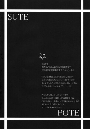 (C74) [SUTE POTE (Kagura Soushi)] Riot Faker (Mahou Shoujo Lyrical Nanoha) [English] - Page 3