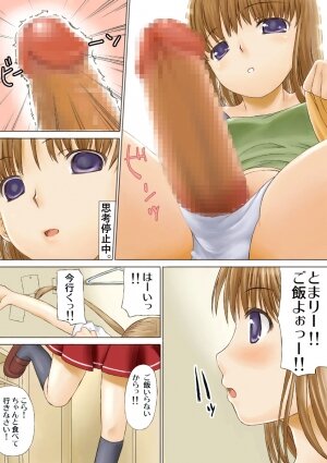 [Ishiyakimeron] Toma X Hazu Experiment (Kashimashi ~girl meets girl~) - Page 7