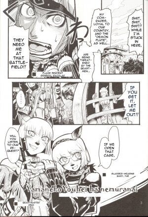 (C71) [Kuroshiki (Kurohiko)] Kuroshiki Vol. 5 (Final Fantasy XI) [English] [0405] - Page 3