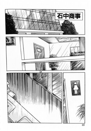 [Misawa Shin] Shakkin Zuma Niku Hensai - Page 25