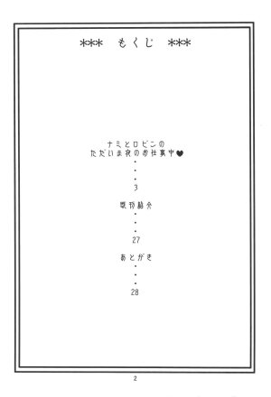 (C74) [ACID-HEAD (Murata.)] Nami no Koukai Nisshi EX NamiRobi 2 (One Piece) [English] [SaHa] - Page 3