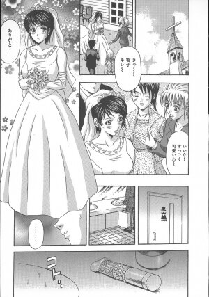 [Amano Hidemi] Dareka ga Okashita - Page 37