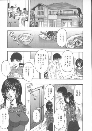 [Amano Hidemi] Dareka ga Okashita - Page 105