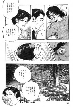 [Ken Tsukikage] Furin Tsuma Mujou - Page 25