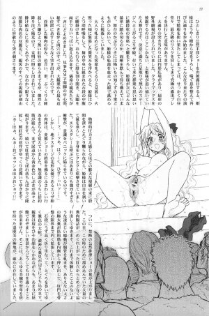 (C72) [Jam Kingdom (Jam Ouji)] Hime-sama no Atarashii Biyouhou Chuukan - Filthy Tales Vol. 2 - Page 20
