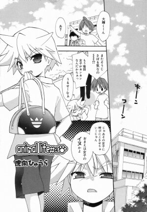 [Anthology] Koushoku Shounen no Susume 4 - Page 11