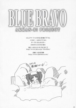 (C69) [AKKAN-Bi PROJECT (Yanagi Hirohiko)] BLUE BRAVO (Mobile Suit Gundam Seed Destiny) - Page 29