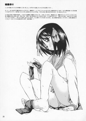 (SC33) [TTT (Miharu)] Yukinko LOVER (The Melancholy of Haruhi Suzumiya) - Page 27