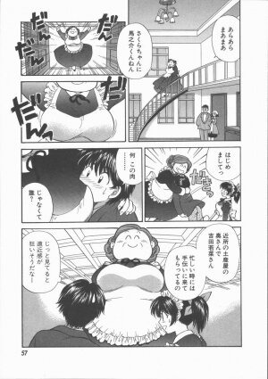 [Hirose Miho] Tadaima Full House - Page 59