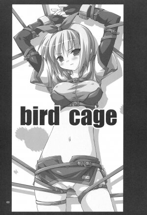 (C67) [Dr. VERMILION (Petenshi)] Bird Cage (Ragnarok Online) - Page 2