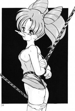 (C66) [Thirty Saver Street 2D Shooting (Maki Hideto, Sawara Kazumitsu)] Silent Saturn SS vol. 7 (Bishoujo Senshi Sailor Moon) - Page 34