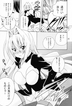 (SC41) [PH (TAM)] Ai Desu Watashi no Ashikabisama (Sekirei) - Page 25