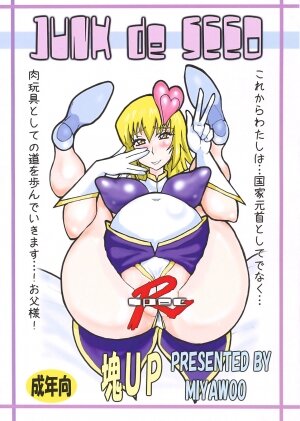 (C75) [Tamashii UP (Miyawoo)] JUNK de SEED (Kidou Senshi Gundam SEED DESTINY / Mobile Suit Gundam SEED DESTINY)