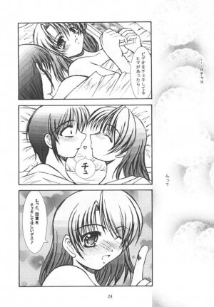 (C61) [Takane no Hanazono (Takane Nohana)] CURIOSITY (Sister Princess) - Page 22