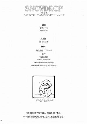 (C75) [Amazake Hatosyo-ten (Yoshu Ohepe)] Snow Drop (Street Fighter) - Page 23