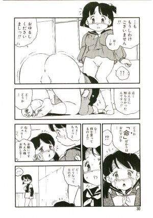 [Kaimeiji Yuu] Koukyuu Gakuen - Page 29