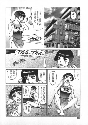 [Yamamoto Atsuji] Ammo Vol 5 - Page 105