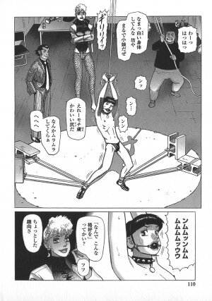 [Yamamoto Atsuji] Ammo Vol 5 - Page 113