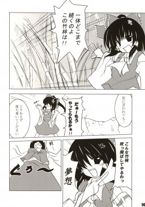 (SC27) [SeaFox (Kirisaki Byakko)] Mayou mono wa fuku o mo suteru (Touhou Project) - Page 13