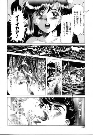 [Kou Kawarajima] Lemming Rhapsody 3 - Page 33