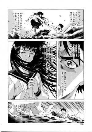 [Kou Kawarajima] Lemming Rhapsody 3 - Page 35