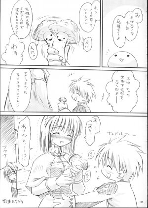 [Mizukidou] らぐくろ (Ragnarok Online) - Page 32