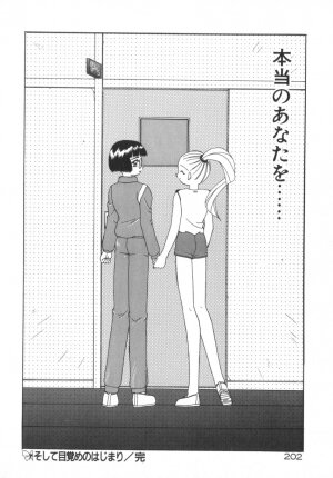 [Akifuji Satoshi] Soshite Mezame no Hajimari - Page 207