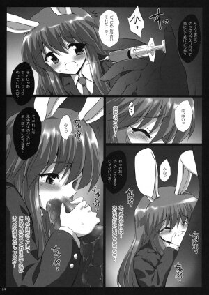 (Reitaisai 6) [54burger, Eclipse, Kuma-tan Flash! (Marugoshi, Rougetu, Hanao.)] Erohon. (Touhou Project) - Page 24