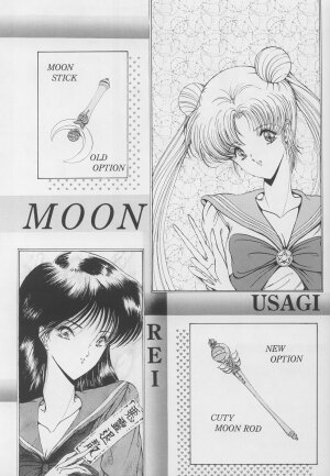 [Art Rakugaki (Aoki Reimu)] Shoujo Sentai Rakugaki Trap Special Version (Bishoujo Senshi Sailor Moon) - Page 3