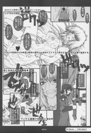 [Coburamenman (Uhhii)] GS (Gundam Seed) - Page 15