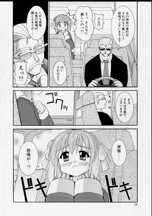 [Yaski] Miko no Susume - Page 27