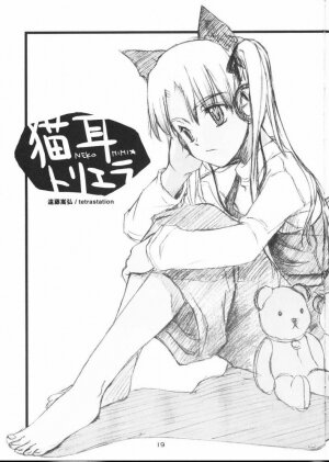 (CR35) [type=punishment (Shido Misako)] Twin Tail Treila - Tsuinteira Toriera (Gunslinger Girl) - Page 18