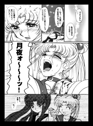 [Taiyoukei Kaihatsu Kikou (Marubayashi Shumaru)] V for Sailor V (Bishoujo Senshi Sailor Moon) [Digital] - Page 25