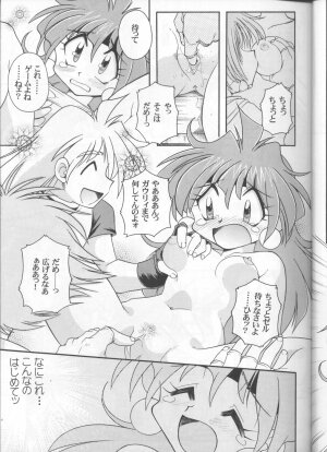 (C55) [Sairo Shuppan (J.Sairo)] Slayers Parody 3 (Slayers) - Page 17