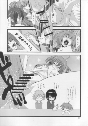 (C71) [CIRCLE ED (ED)] Yakuzukuri ni mo Kozukuri ni mo Sei wo Dasu Kirari no Eroi Hon (Kirarin Revolution) - Page 24