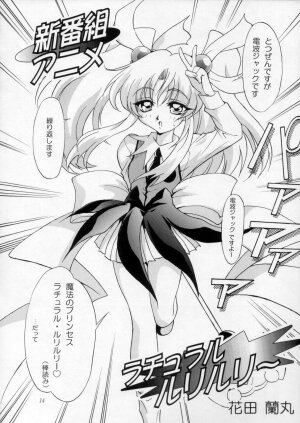 [Urawa Anime Festa] Urawa Special Hayate Ruri Densetsu (Nadesico) - Page 15