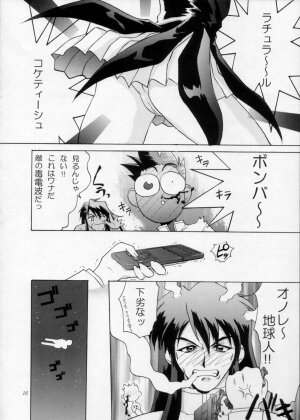 [Urawa Anime Festa] Urawa Special Hayate Ruri Densetsu (Nadesico) - Page 17