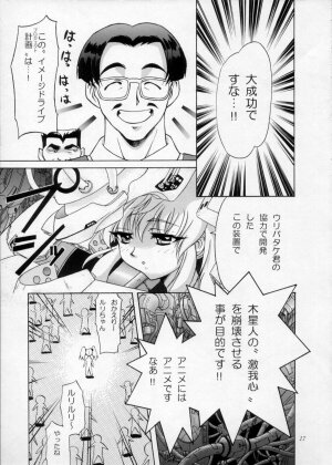 [Urawa Anime Festa] Urawa Special Hayate Ruri Densetsu (Nadesico) - Page 18