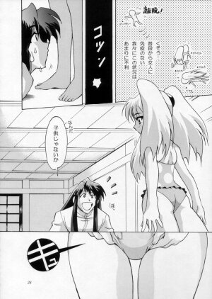 [Urawa Anime Festa] Urawa Special Hayate Ruri Densetsu (Nadesico) - Page 27